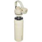 IceFlow™ Bottle with Fast Flow Lid