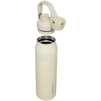 IceFlow™ Bottle with Fast Flow Lid