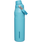 IceFlow™ Bottle with Fast Flow Lid