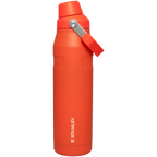 IceFlow™ Bottle with Fast Flow Lid