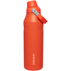 IceFlow™ Bottle with Fast Flow Lid