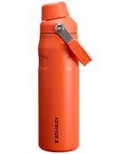 IceFlow™ Bottle with Fast Flow Lid
