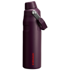IceFlow™ Bottle with Fast Flow Lid