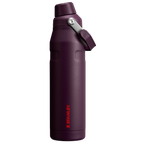 IceFlow™ Bottle with Fast Flow Lid