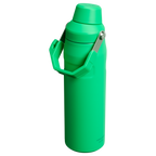 IceFlow™ Bottle with Fast Flow Lid