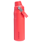 IceFlow™ Bottle with Fast Flow Lid