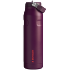 The IceFlow™ Bottle with Flip Straw Lid