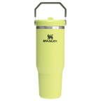 The IceFlow™ Flip Straw Tumbler