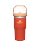 The IceFlow™ Flip Straw Tumbler